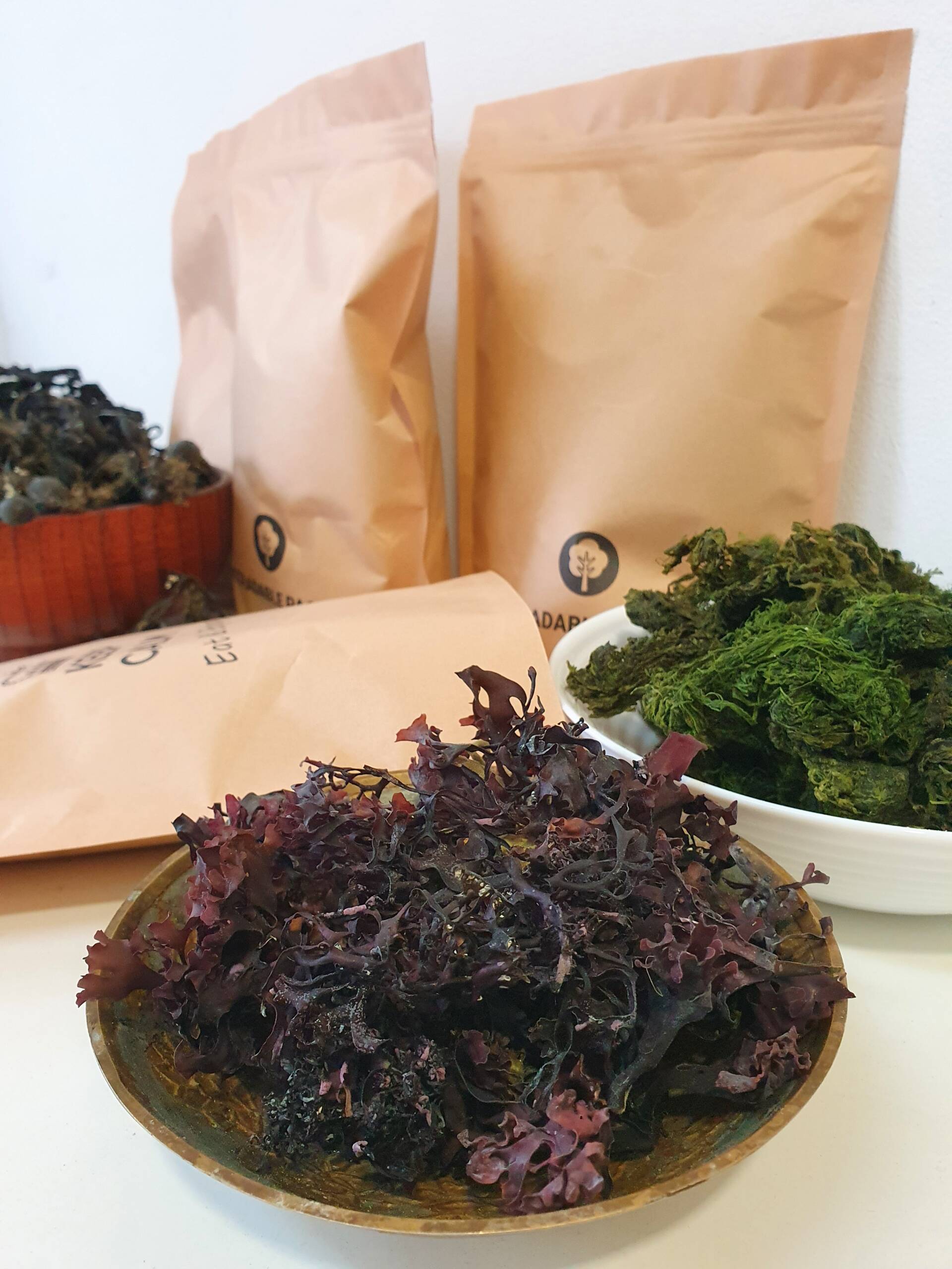 Sea And Nourish - Image 6