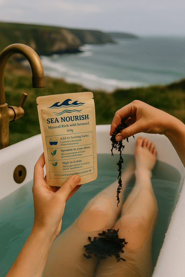 Sea And Nourish - Image 2