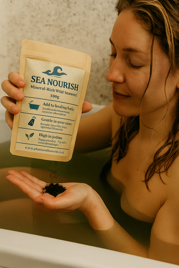 Sea And Nourish - Image 4