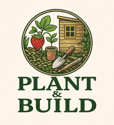 Plant and Build