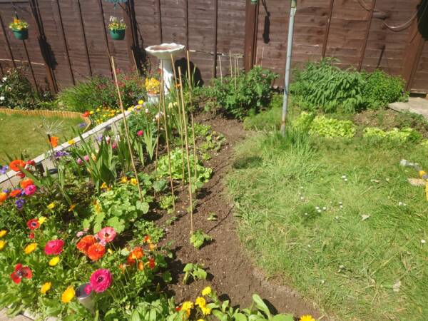 Plant and Build - Image 2