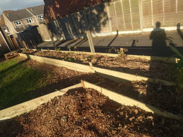 Plant and Build - Image 3