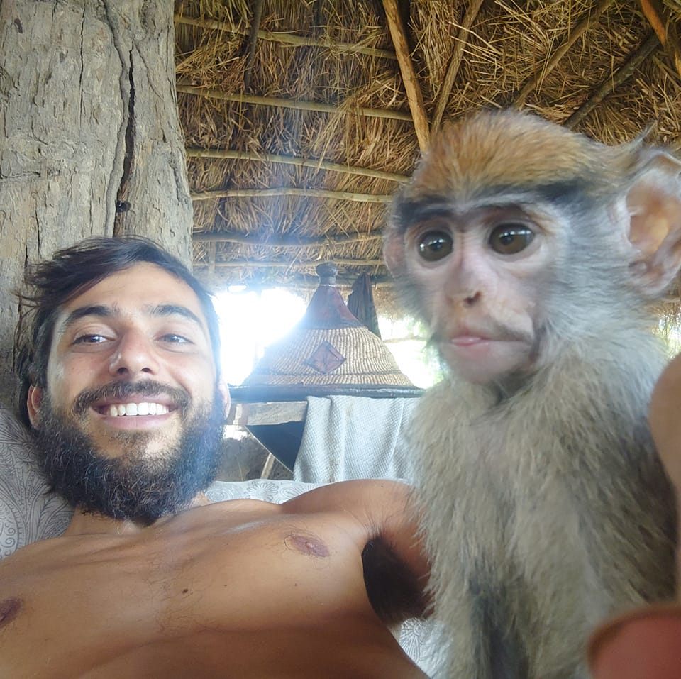 Noahs' Arc - Community, Farm & Guesthouse - Image 13