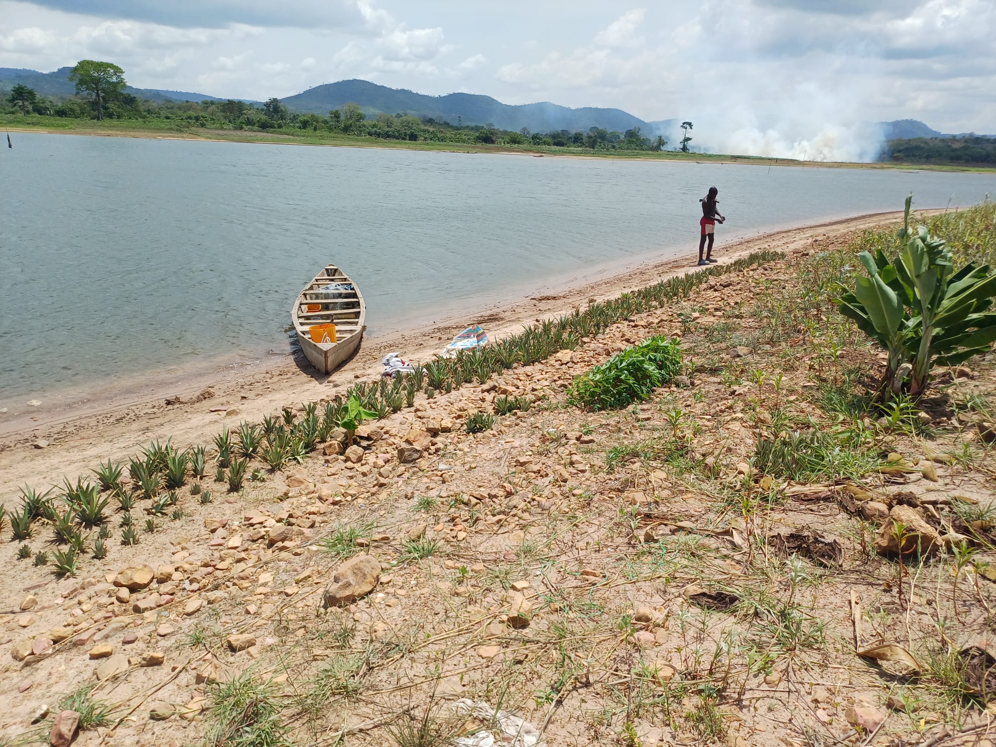 Noahs' Arc - Community, Farm & Guesthouse - Image 6