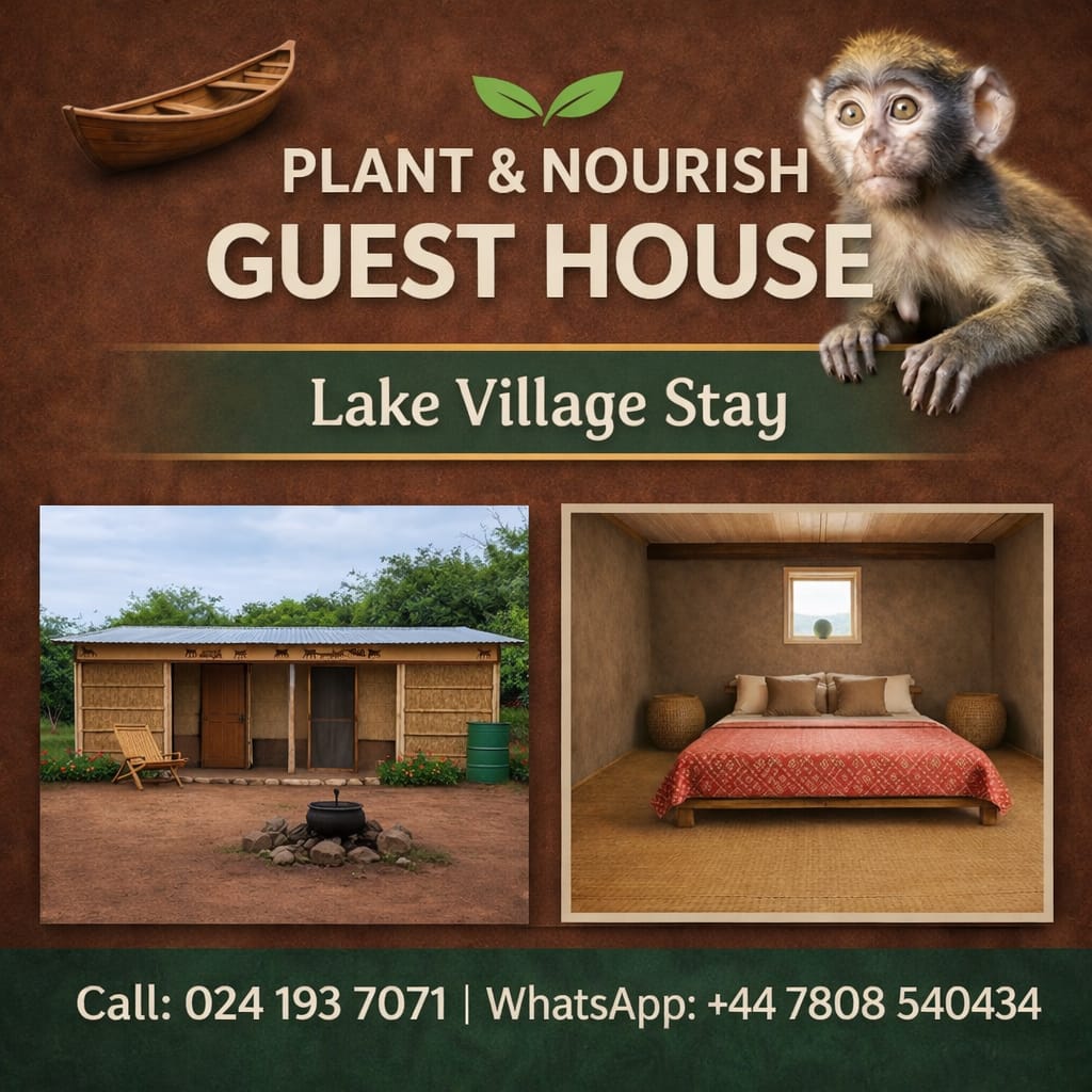 Noahs' Arc - Community, Farm & Guesthouse - Image 19