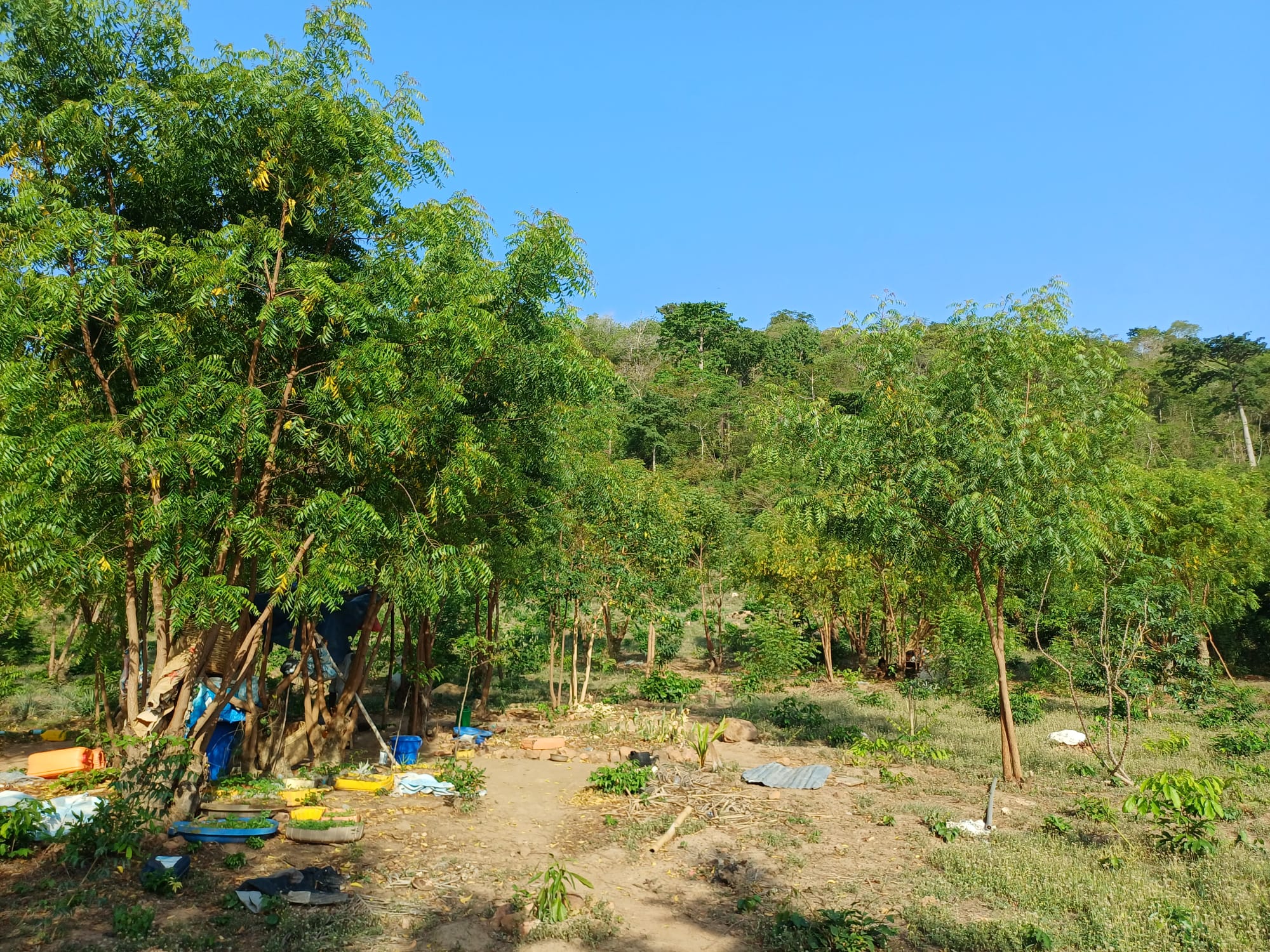 Noahs' Arc - Community, Farm & Guesthouse - Image 15