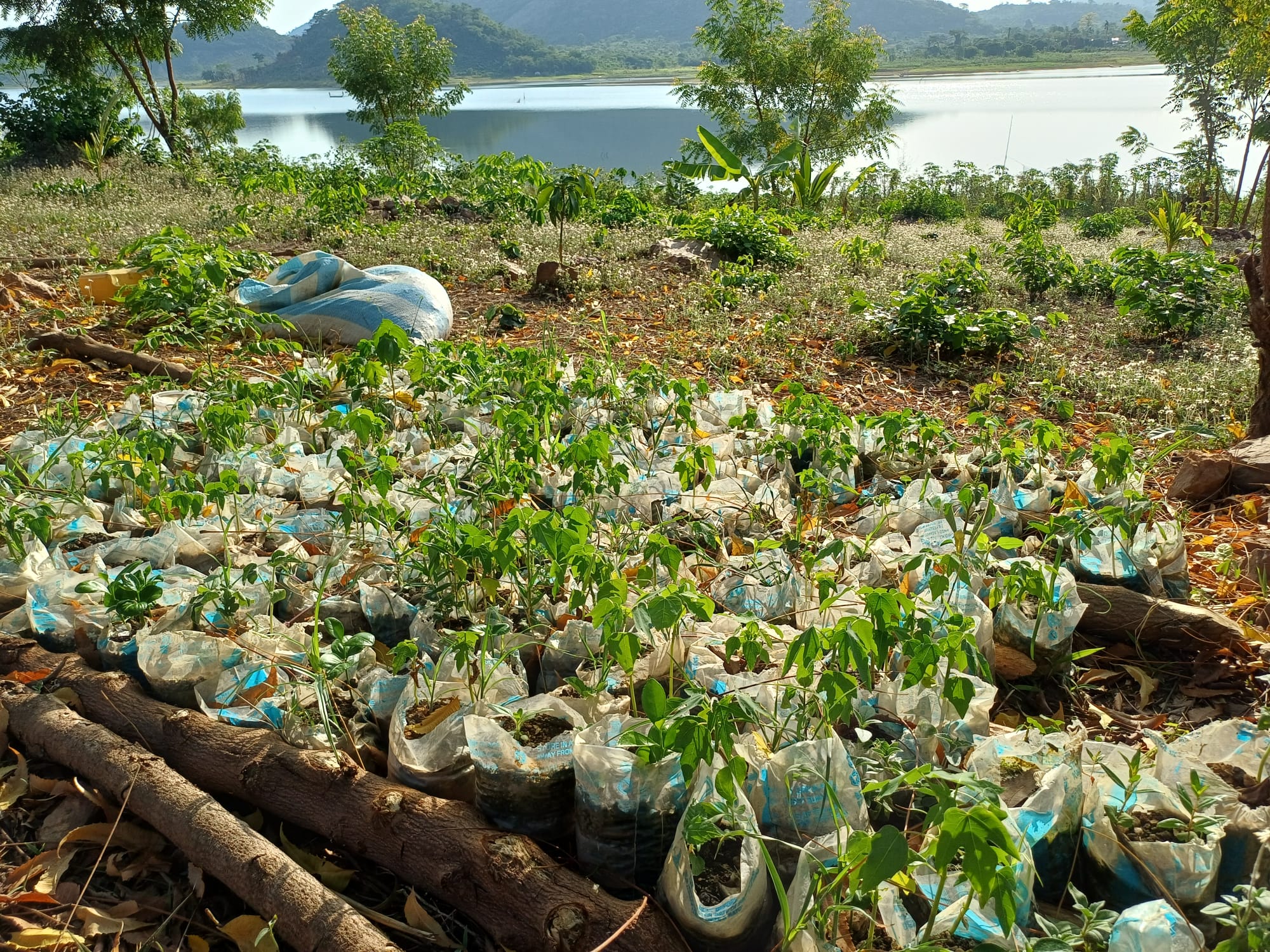Noahs' Arc - Community, Farm & Guesthouse - Image 12