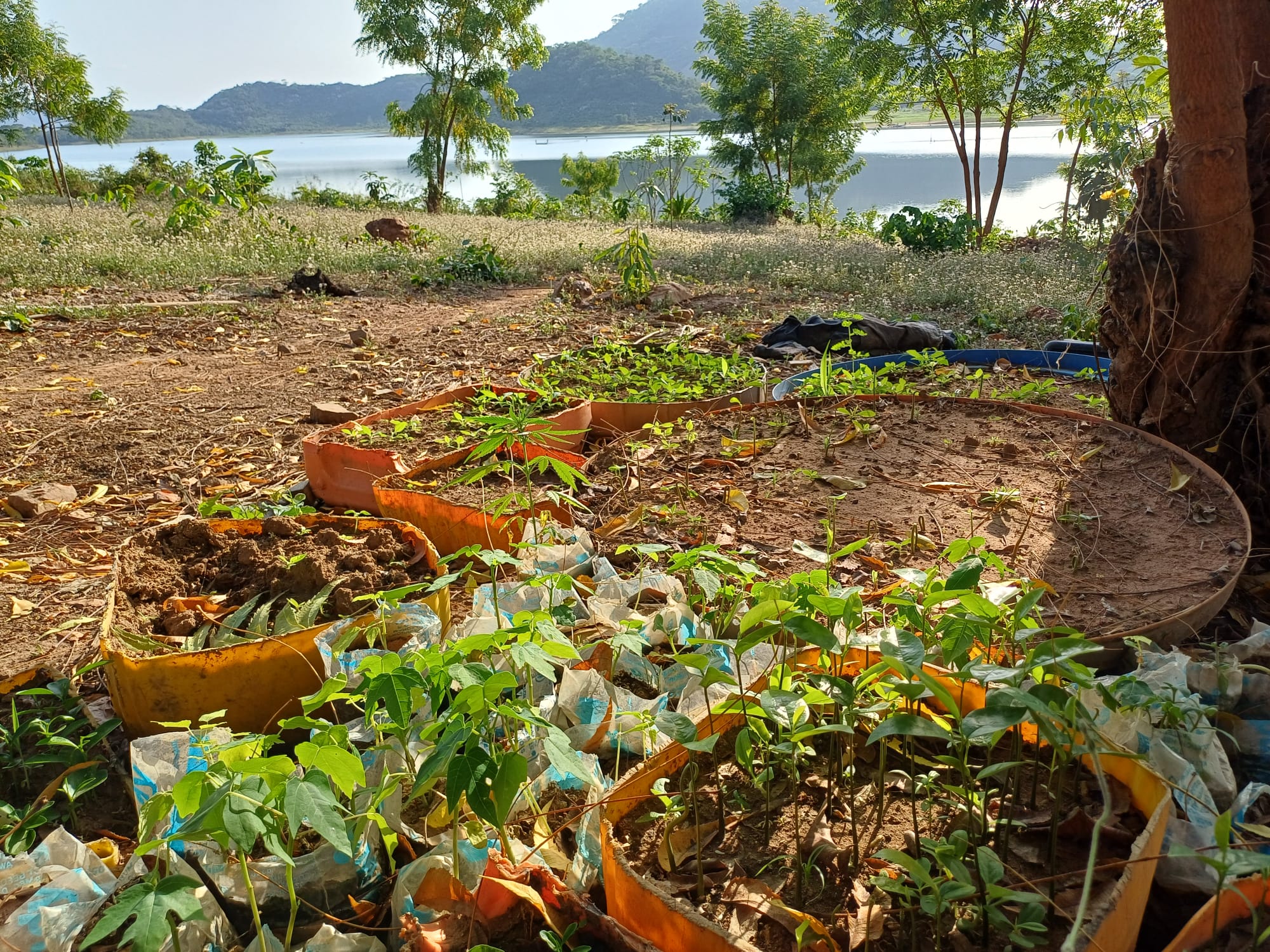 Noahs' Arc - Community, Farm & Guesthouse - Image 24