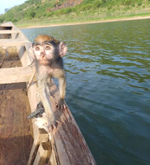 Noahs' Arc - Community, Farm & Guesthouse