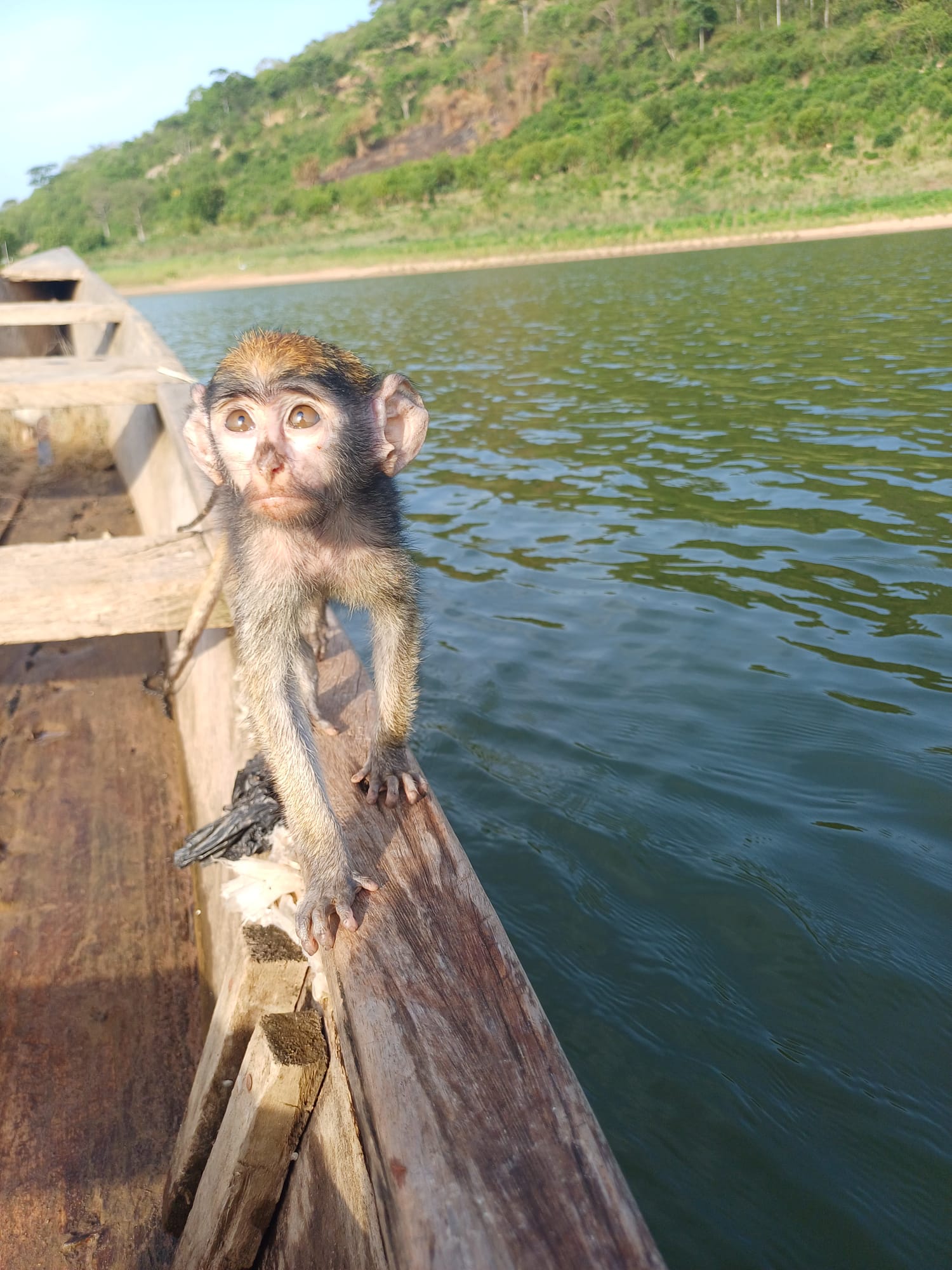 Noahs' Arc - Community, Farm & Guesthouse