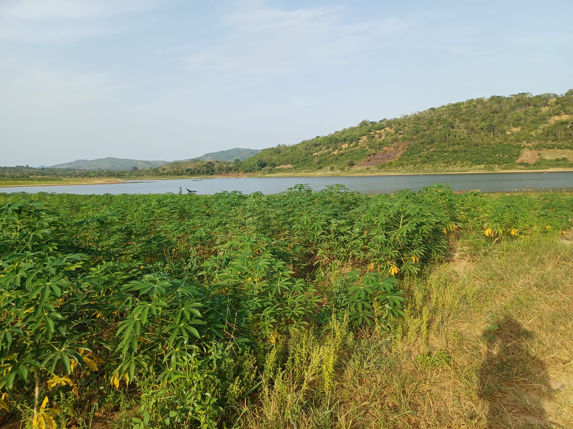 Noahs' Arc - Community, Farm & Guesthouse - Image 23