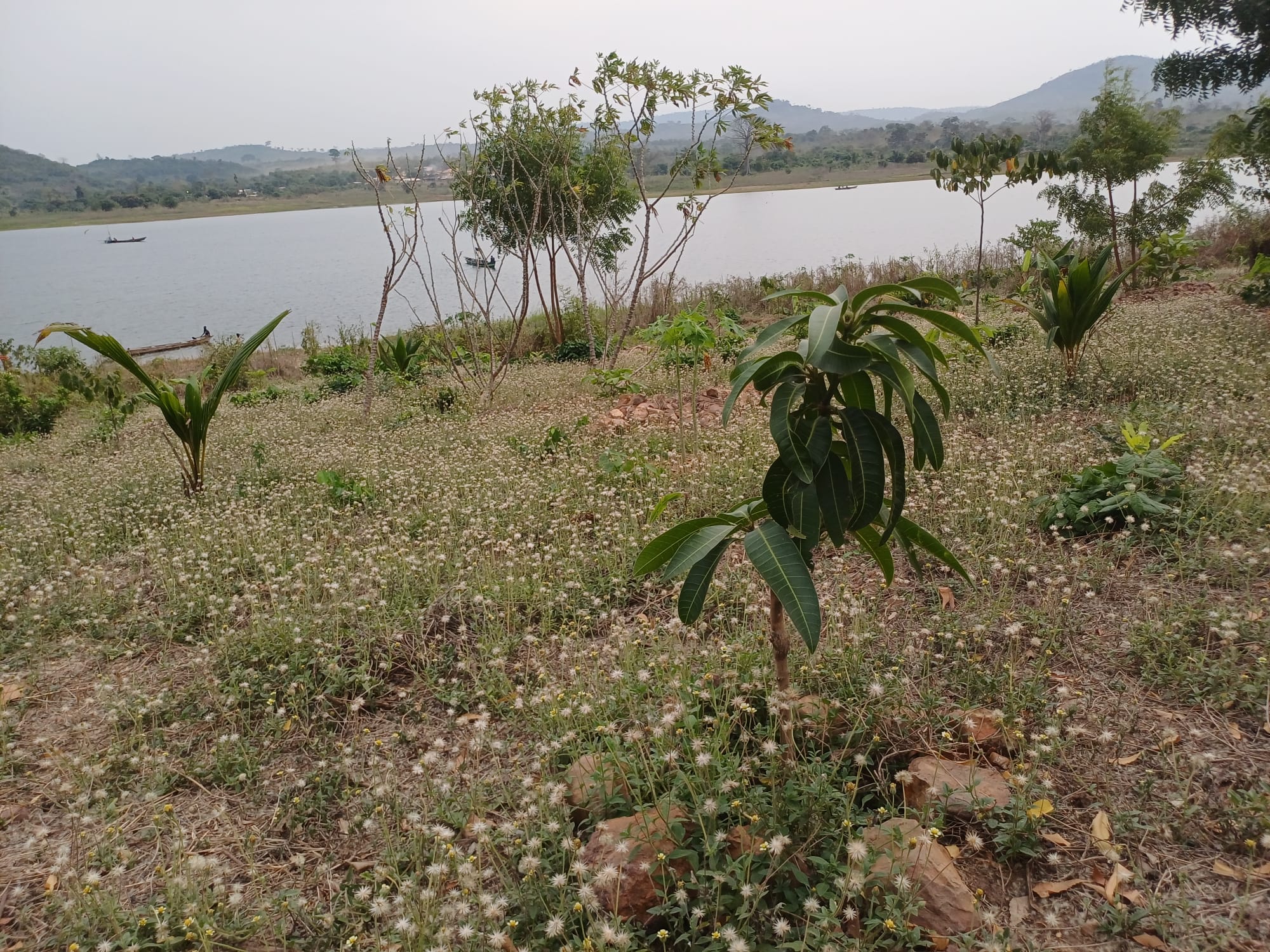 Noahs' Arc - Community, Farm & Guesthouse - Image 20