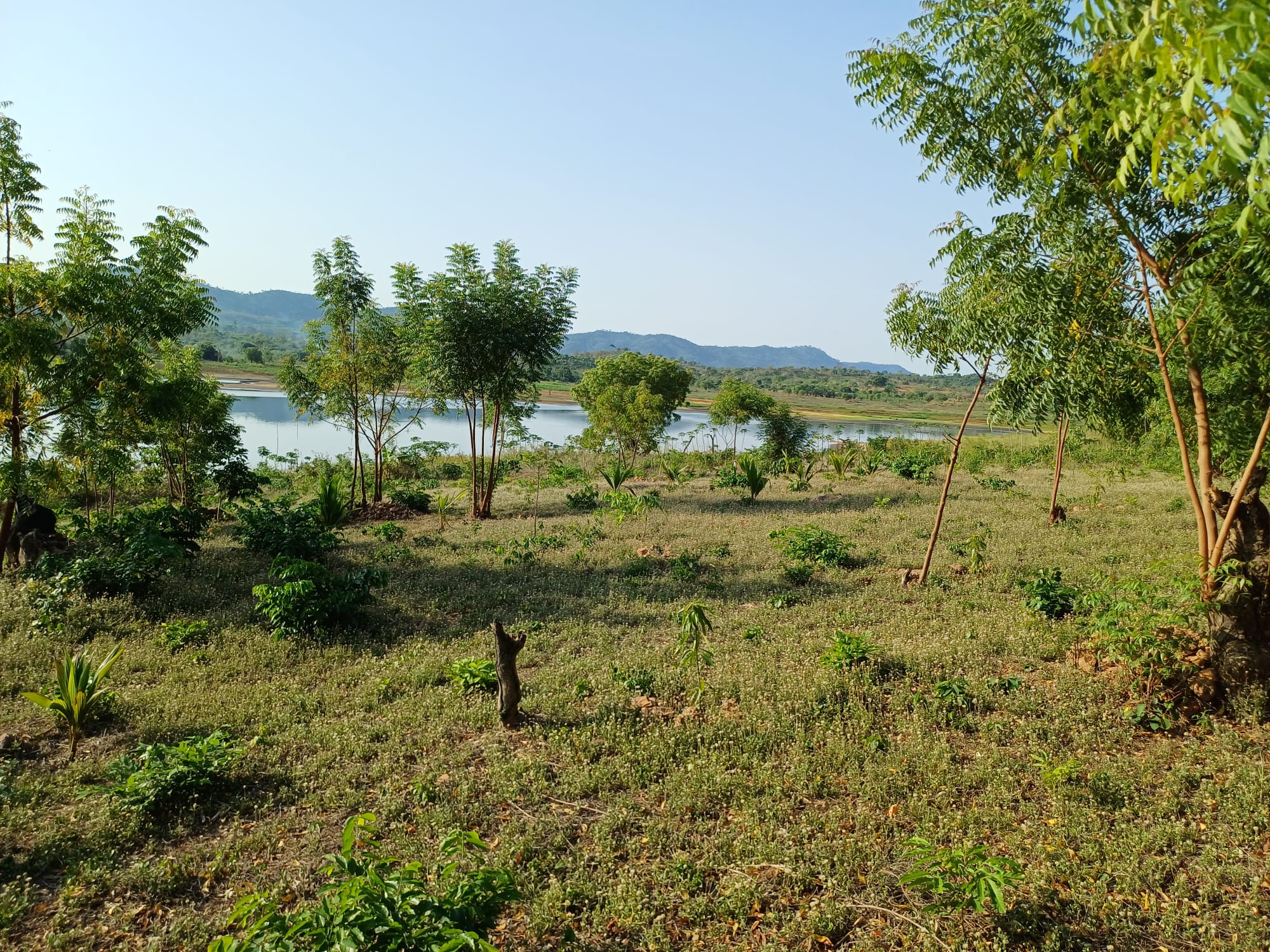 Noahs' Arc - Community, Farm & Guesthouse - Image 14